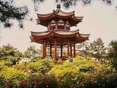 -大慈恩寺(大雁塔)