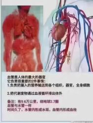 -香薇妮丝·定制减肥·身材管理