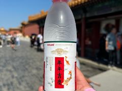 -北京市劳动人民文化宫(太庙)