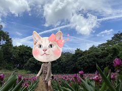 -松山湖梦幻百花洲