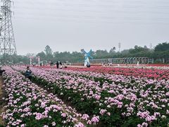 -盈香心动乐园