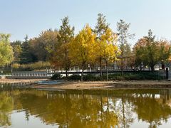 -大望京公园