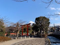 -富士山本宫浅间大社