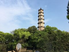 -江心屿景区