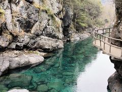 -石台牯牛降景区