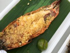 -纽顿熟食中心