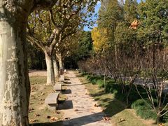 -上海市龙华烈士陵园