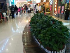 -乐汇城