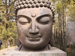 -杭州植物园