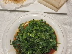 -丁老爷子苏香圆