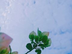 -三亚蜈支洲岛旅游区