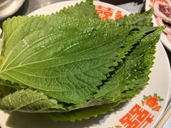 -胡同泥炉烤肉(总店)