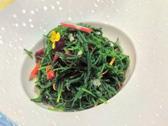 凉拌沙葱-清真·胖妈妈手抓餐厅(定西路长城宾馆店)