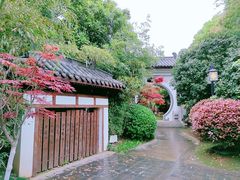 -武汉园博园(武汉自然博物馆)