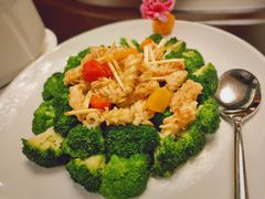 西兰花炒鲜鱿-东方御宴海鲜酒楼(棕泉酒店)