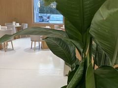 -XPEL旗舰店·汽车贴膜·隐形车衣·改色贴膜