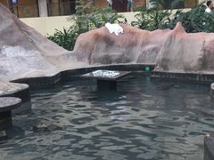 -青岛海泉湾度假区温泉