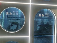 -鱼酷活鱼烤鱼(沈阳大悦城店)