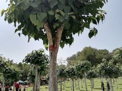 -三亚南山文化旅游区