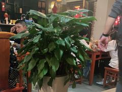 大堂-醉长安(南门总店)