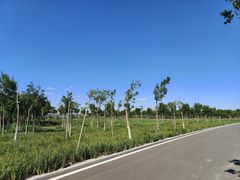 -天津东丽湖风景区