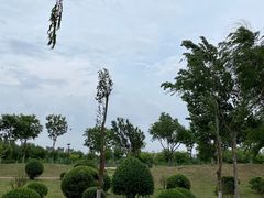 -丁香湖公园