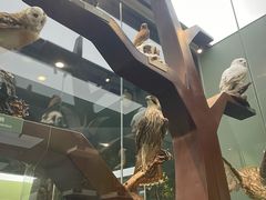 -国家自然博物馆