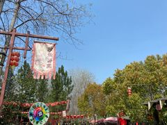 -合肥滨湖国家森林公园