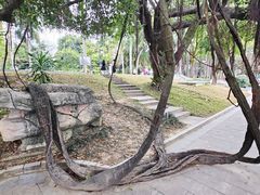 -南宁南湖公园