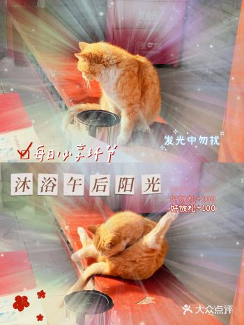 迎佛首回家｜属于这个春节假期最有温度的仪式感