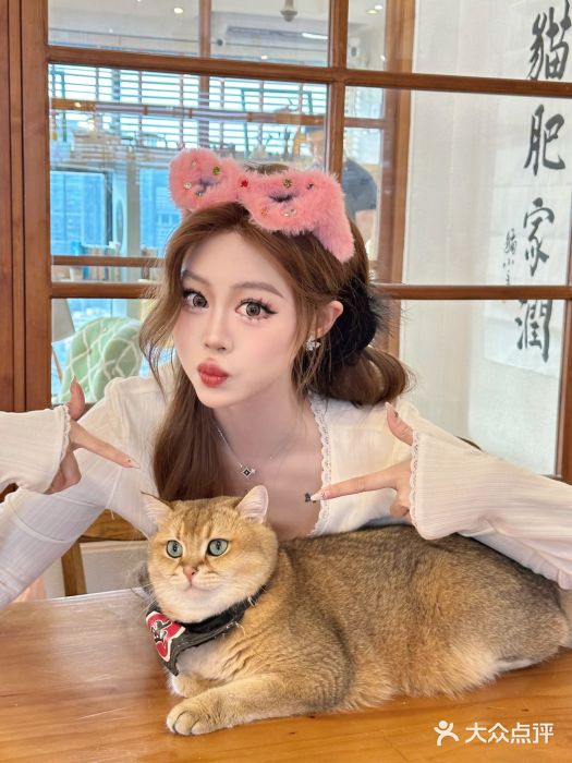 猫小主咖啡·猫咖cat cafe(福田店)图片
