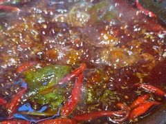 -阳阳老火锅(小南门店)