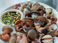 血蛤-金秋小吃海鲜·专注30年临海特色风味