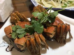 -呼吸森林·生态农庄农家乐私房菜