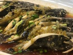 -漫渡庄绿岛花园•隐世庭园菜(滨湖店)