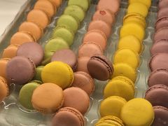 -涨巢·潮玩水疗局