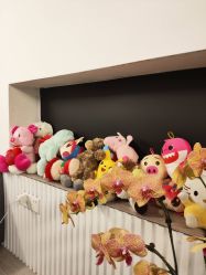 大厅-Garden花園造型