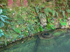 -十八棵（老龙井）御茶园(老龙井店)