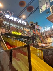 -卡通尼·Safari非洲探索乐园·生日会(金桥国际商业广场店)