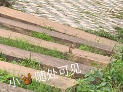 -黑龙江省森林植物园