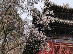 -潭柘寺景区
