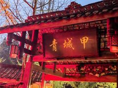 -青城甲(青城山店)