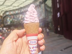 -富豪雪糕车流动点(尖沙咀)