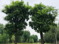 -汉长安城未央宫国家考古遗址公园