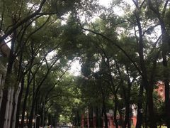 -四川大学(望江校区)