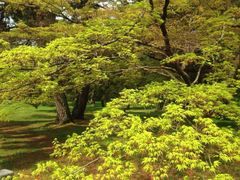 -京都御所