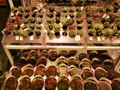 -KKV(深圳宏发大仟里店)