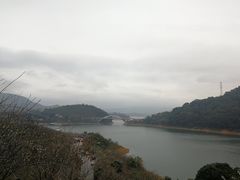 -广州市流溪河国家森林公园