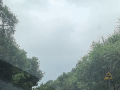 -大京沙滩