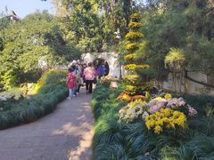 -杭州植物园